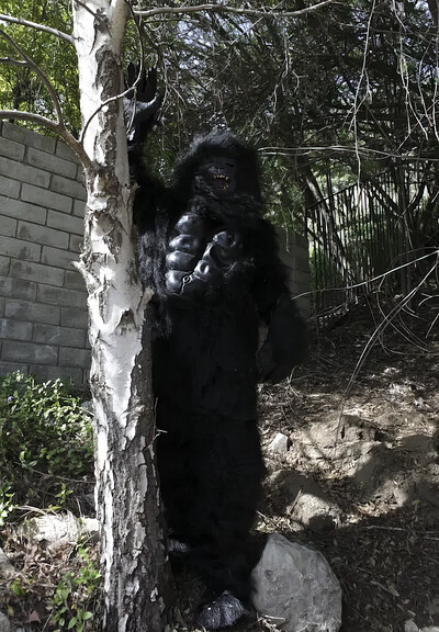 Tara Lynn Foxx and Katie Summers in Not Monkeying Around! from