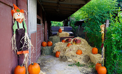 Rose Monroe and Valentina Jewels in Pumpkin Booty Patch from 