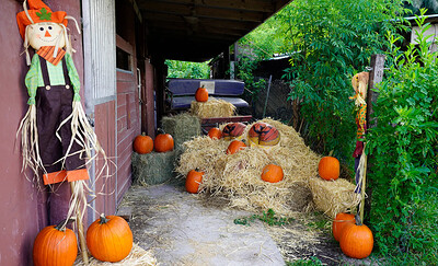 Rose Monroe and Valentina Jewels in Pumpkin Booty Patch from 