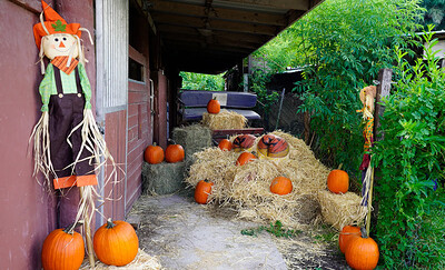 Rose Monroe and Valentina Jewels in Pumpkin Booty Patch from 