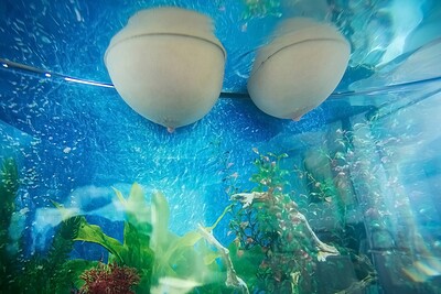 Karlee Grey and Alex Chance in Jugs for juggling from