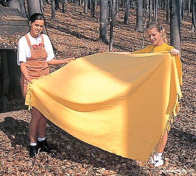 Roos A and Kelly in Dirty Teens 062 from 