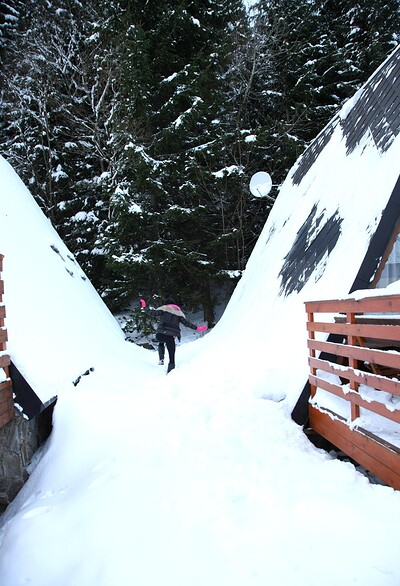 Nicoletta H in Winterspecial 22 from 