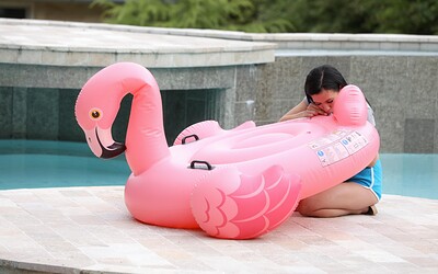 Nikki Fox in  from 