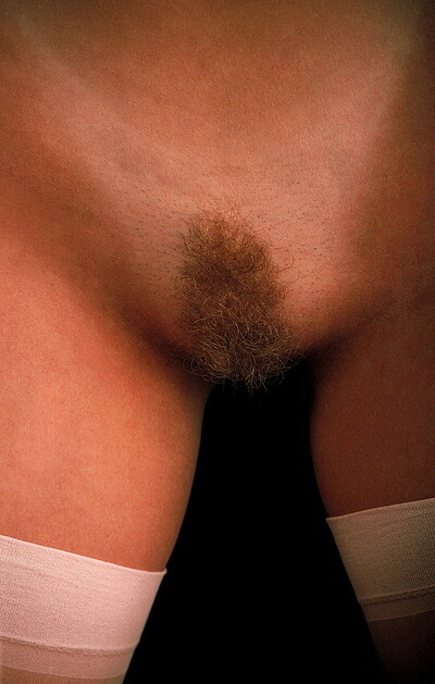 Julia Hayes in  from 