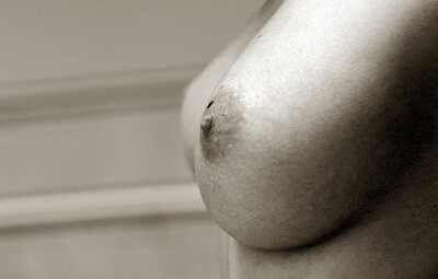 Sandra Shine in  from 