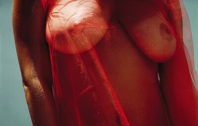 Julia Parton in  from 