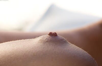 Niki Lee Young in  from 