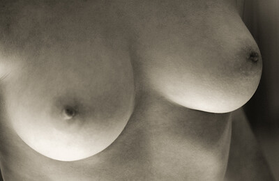 Elitta in  from 