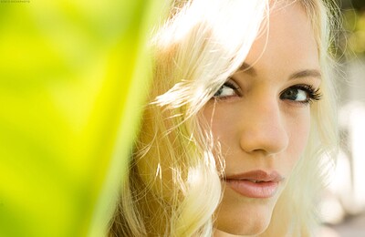 Alex Grey in  from 
