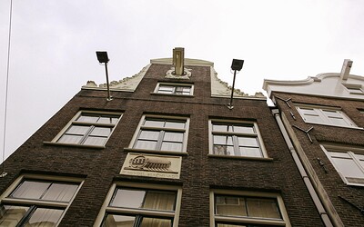 Dwayne and Barbara in Dwayne from Amsterdam from 