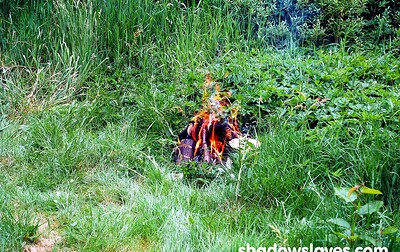 Nimue and Chaos in Training camp 1 from 