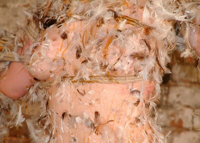 Kumi Monster in Feathers from 