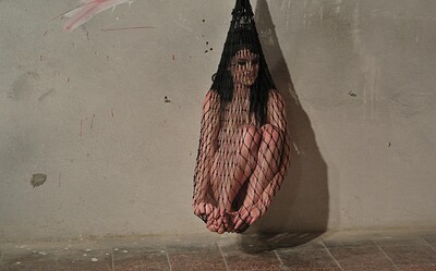 Alice Nice in Alice trapped and dangling in net getting vibed from 