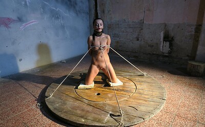 Daphne Klyde in Tied up and vibed from 