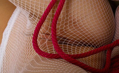 Lexi Sexton in Lexi Sexton taken and tied up from 