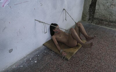 Eveline Dellai in Tied up babe Eveline getting vibed from 