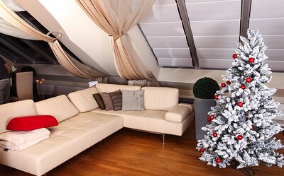 Cute and Anna in Christmas from 