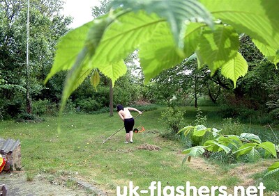 Pixie UK in  from 