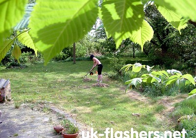 Pixie UK in  from 