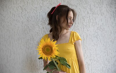 Annet in  from 