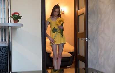 Annet in  from 