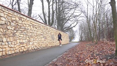 Mini Mitzi in Desperate In The Suburbs from 