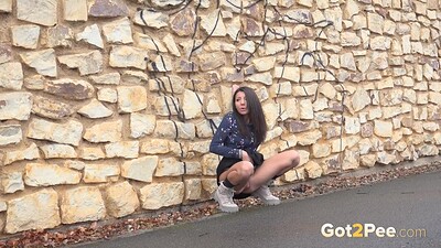 Mini Mitzi in Desperate In The Suburbs from 
