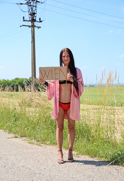 Marcy Merry and Peter Stallion in From Hitchiking To Street Girl from 
